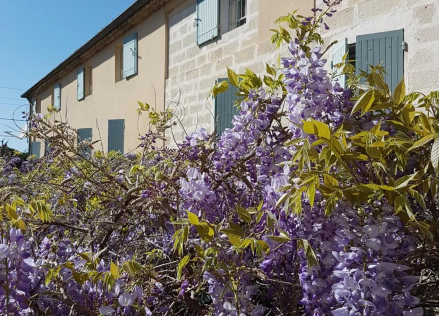 Logis Hotel La Ferme Aviñón
